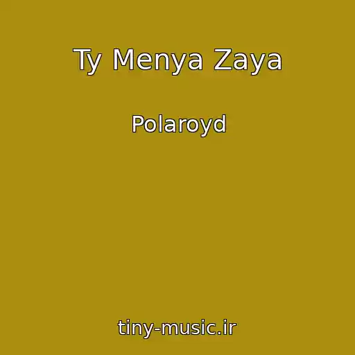 کاور آهنگ Ty Menya Zaya از Polaroyd