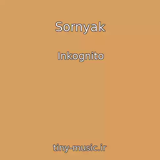 کاور آهنگ Sornyak از Inkognito