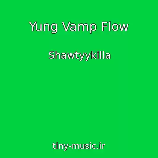 کاور آهنگ Yung Vamp Flow از Shawtyykilla