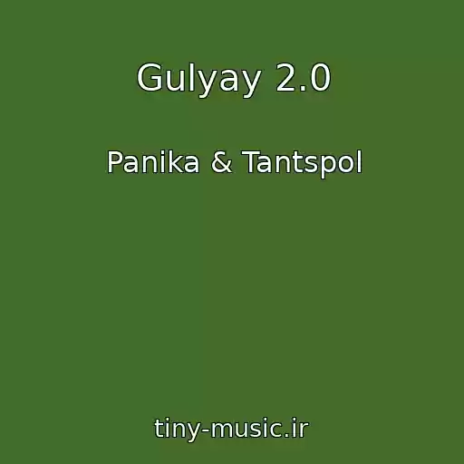 کاور آهنگ Gulyay 2.0 از Panika & Tantspol