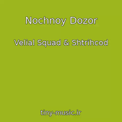 کاور آهنگ Nochnoy Dozor از Velial Squad & Shtrihcod