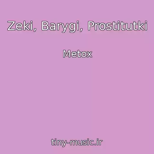 کاور آهنگ Zeki, Barygi, Prostitutki از Metox