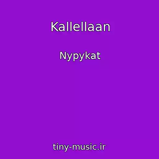 کاور آهنگ Kallellaan از Nypykat