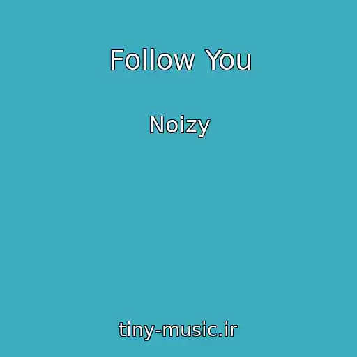 کاور آهنگ Follow You از Noizy