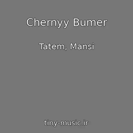 کاور آهنگ Chernyy Bumer از Tatem, Mansi