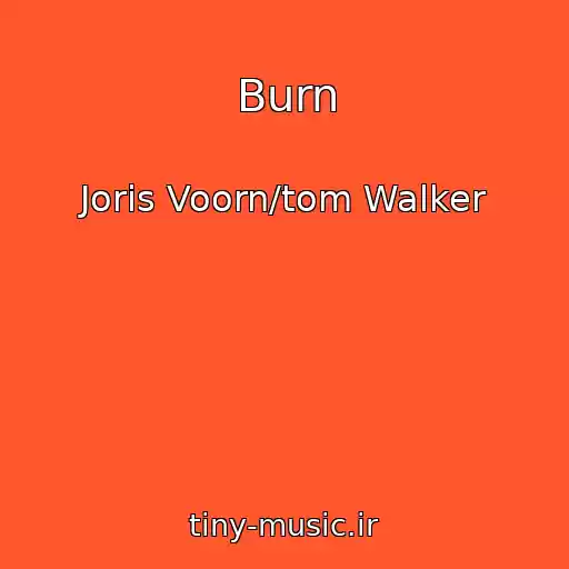 کاور آهنگ Burn از Joris Voorn/tom Walker