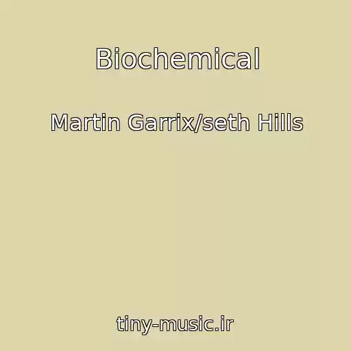 کاور آهنگ Biochemical از Martin Garrix/seth Hills