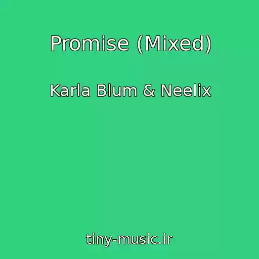 کاور آهنگ Promise (Mixed) از Karla Blum & Neelix
