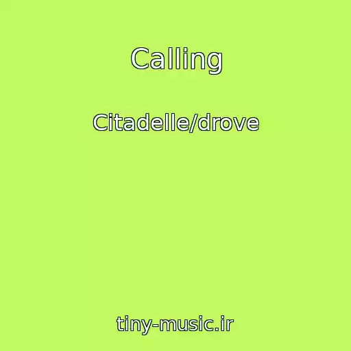 کاور آهنگ Calling از Citadelle/drove