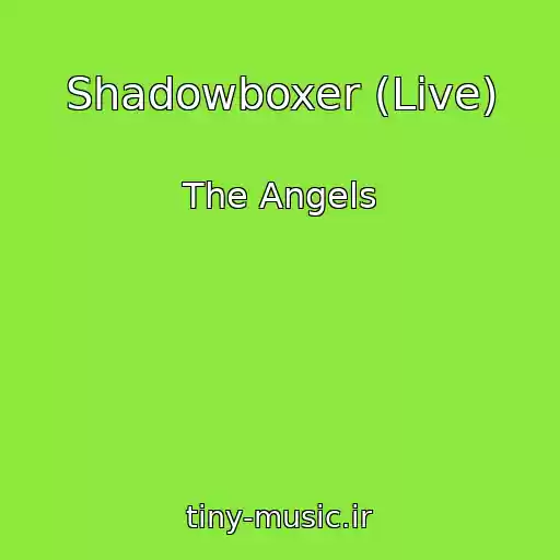 کاور آهنگ Shadowboxer (Live) از The Angels