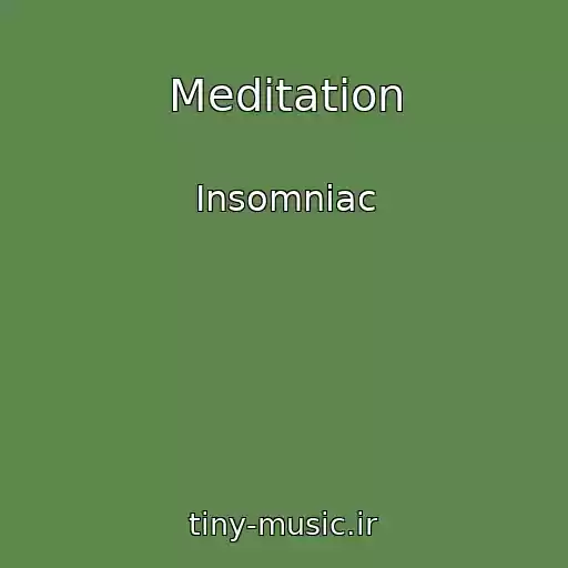 کاور آهنگ Meditation از Insomniac