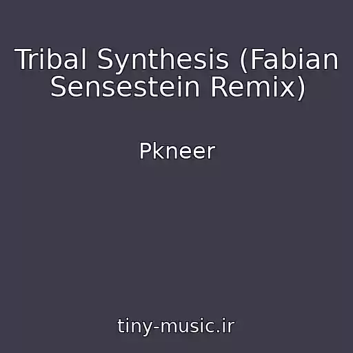 کاور آهنگ Tribal Synthesis (Fabian Sensestein Remix) از Pkneer