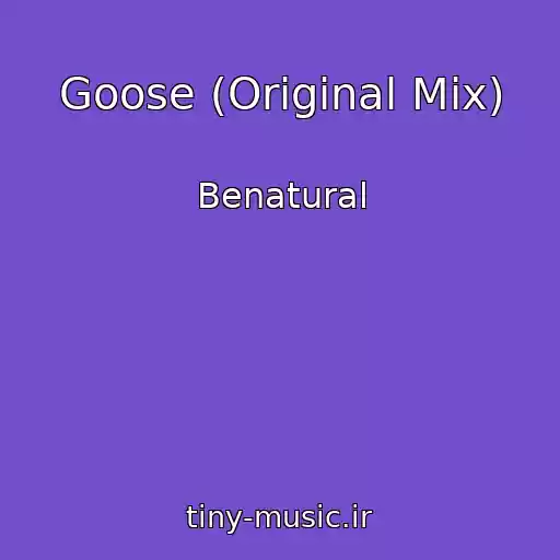 کاور آهنگ Goose (Original Mix) از Benatural