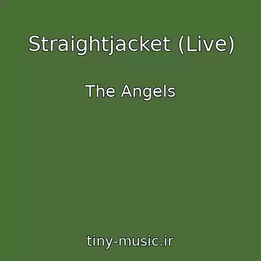 کاور آهنگ Straightjacket (Live) از The Angels