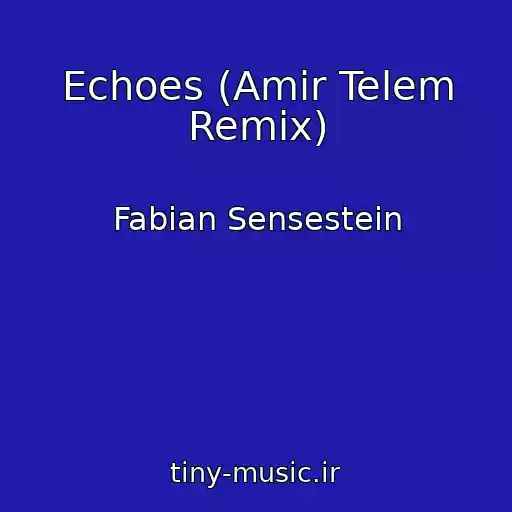 کاور آهنگ Echoes (Amir Telem Remix) از Fabian Sensestein