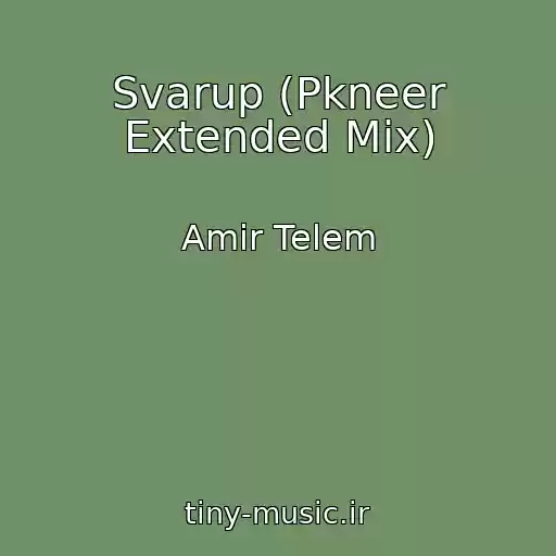 کاور آهنگ Svarup (Pkneer Extended Mix) از Amir Telem