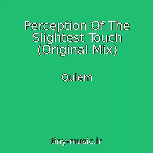 کاور آهنگ Perception Of The Slightest Touch (Original Mix) از Quiem