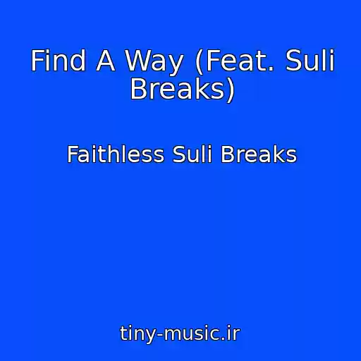 کاور آهنگ Find A Way (Feat. Suli Breaks) از Faithless Suli Breaks