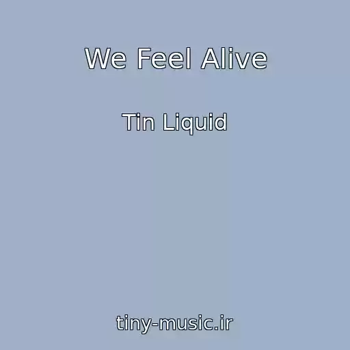 کاور آهنگ We Feel Alive از Tin Liquid