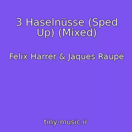 کاور آهنگ 3 Haselnüsse (Sped Up) (Mixed) از Felix Harrer & Jaques Raupé