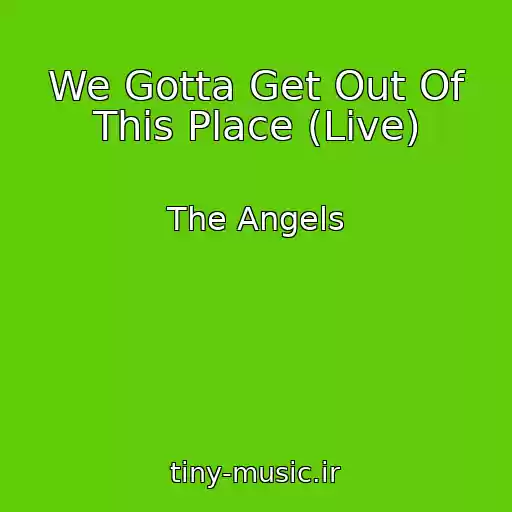 کاور آهنگ We Gotta Get Out Of This Place (Live) از The Angels
