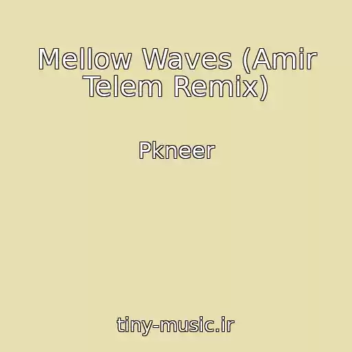 کاور آهنگ Mellow Waves (Amir Telem Remix) از Pkneer