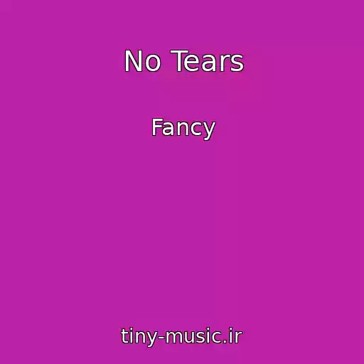 کاور آهنگ No Tears از Fancy