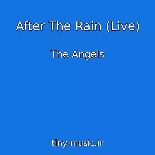 کاور آهنگ After The Rain (Live) از The Angels