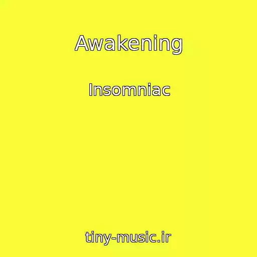 کاور آهنگ Awakening از Insomniac