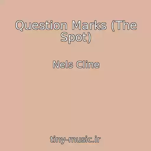 کاور آهنگ Question Marks (The Spot) از Nels Cline
