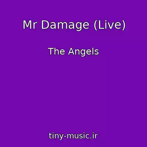 کاور آهنگ Mr Damage (Live) از The Angels