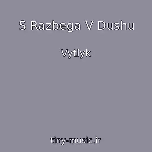 کاور آهنگ S Razbega V Dushu از Vytlyk