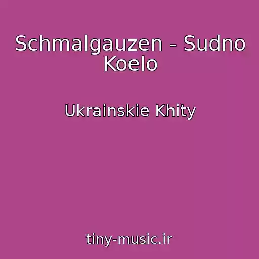 کاور آهنگ Schmalgauzen - Sudno Koelo از Ukrainskie Khity