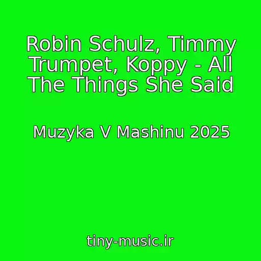کاور آهنگ Robin Schulz, Timmy Trumpet, Koppy - All The Things She Said از Muzyka V Mashinu 2025