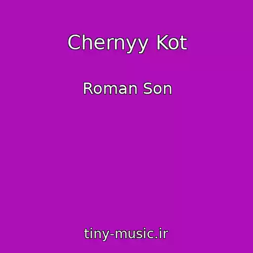 کاور آهنگ Chernyy Kot از Roman Son