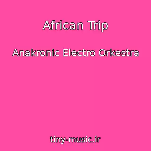 کاور آهنگ African Trip از Anakronic Electro Orkestra