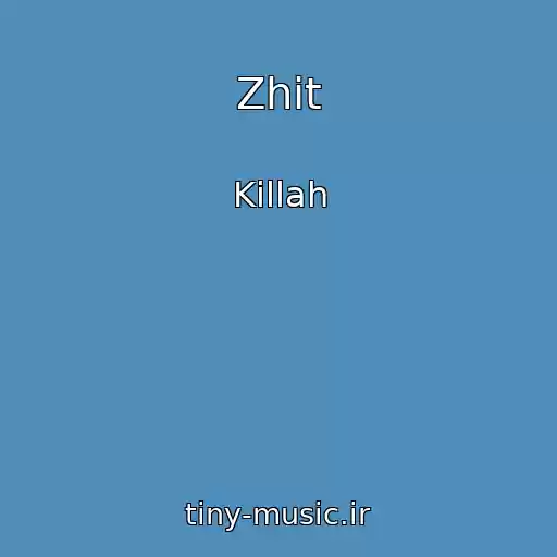 کاور آهنگ Zhit از Killah