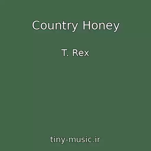 کاور آهنگ Country Honey از T. Rex