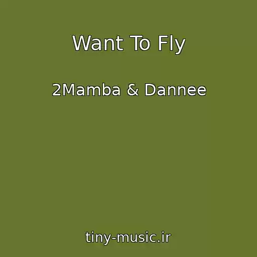 کاور آهنگ Want To Fly از 2Mamba & Dannee