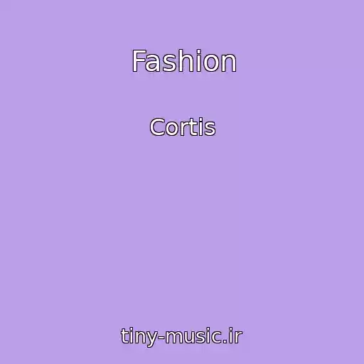 کاور آهنگ Fashion از Cortis