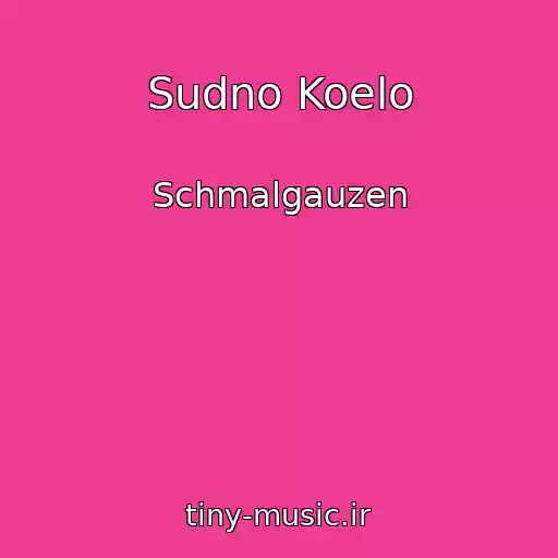 کاور آهنگ Sudno Koelo از Schmalgauzen