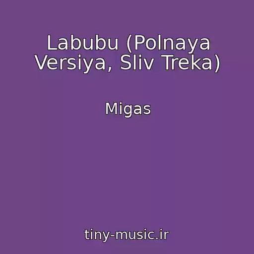 کاور آهنگ Labubu (Polnaya Versiya, Sliv Treka) از Migas