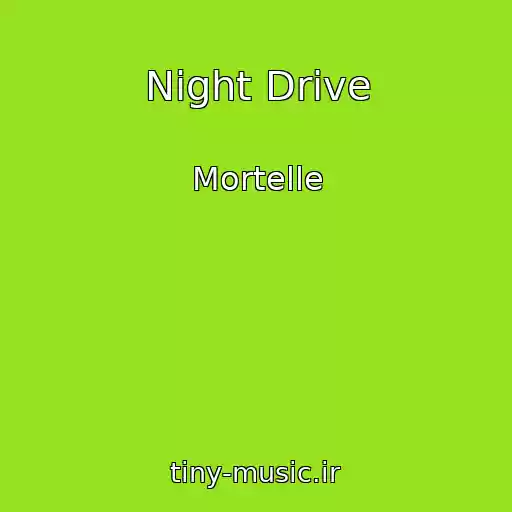 کاور آهنگ Night Drive از Mortelle