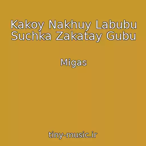 کاور آهنگ Kakoy Nakhuy Labubu Suchka Zakatay Gubu از Migas