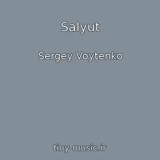 کاور آهنگ Salyut از Sergey Voytenko