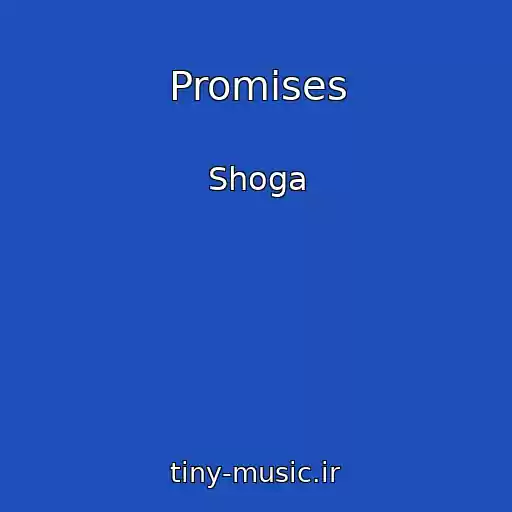 کاور آهنگ Promises از Shoga
