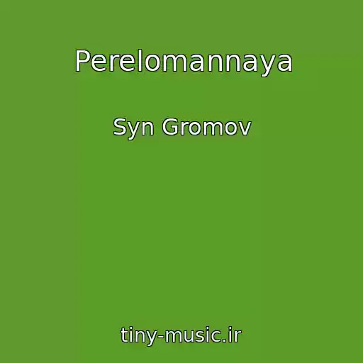 کاور آهنگ Perelomannaya از Syn Gromov