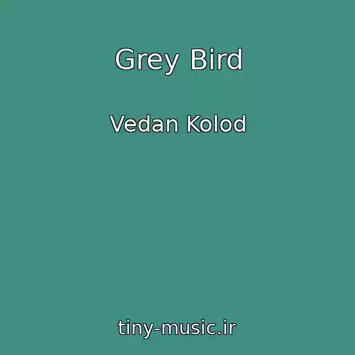 کاور آهنگ Grey Bird از Vedan Kolod