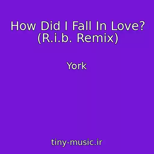کاور آهنگ How Did I Fall In Love? (R.i.b. Remix) از York