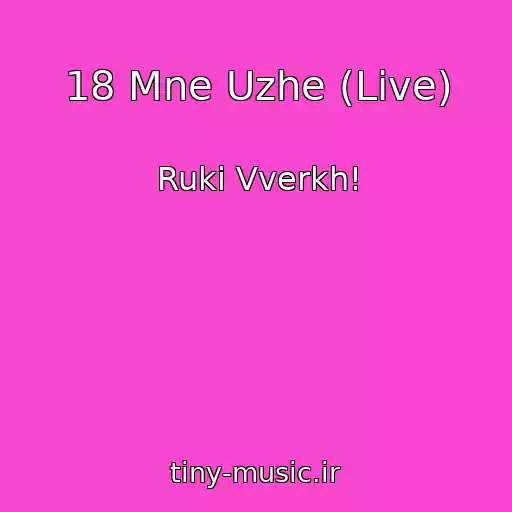 کاور آهنگ 18 Mne Uzhe (Live) از Ruki Vverkh!